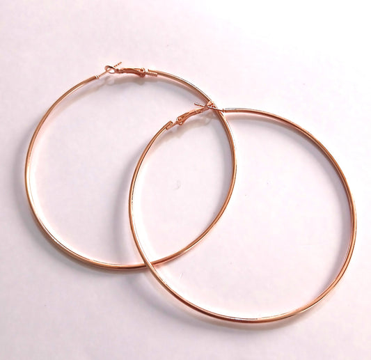 Excellent Gift Choice of Non-Fading Stainless Steel Earrings
